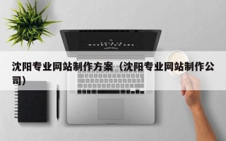 那曲沈阳专业网站制作方案（沈阳专业网站制作公司）
